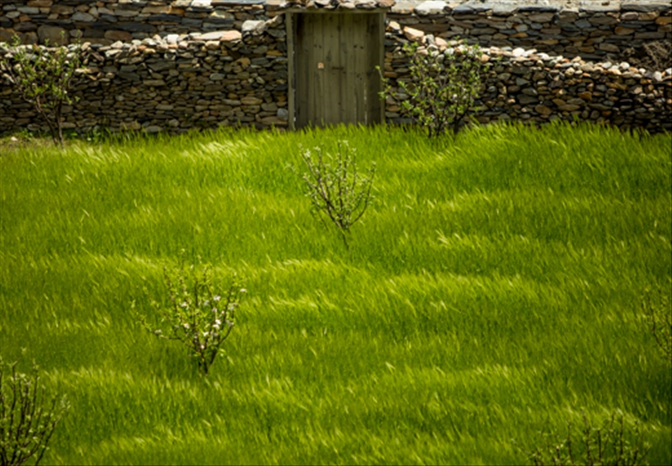 The climates in Nepal range from the infamous peaks of the world's highest mountains to sweltering jungles. The Nepalese exhibit beauty and harmony in much they do, interacting with the all of their surroundings that can both kill climbers and bestow them with food. 
