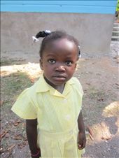 My little yellow. She watched and observed everyone with such a curious face. : by elofosho, Views[272]