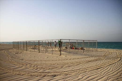 Protected: A fence separates the nests from people and predators alike. Having incubated for nearly sixty days, there are subtle indications suggesting that the first nests of the season have already hatched and the turtle rangers are back to lend another helping hand. They wait until just before sunset before they start opening the first nest. 