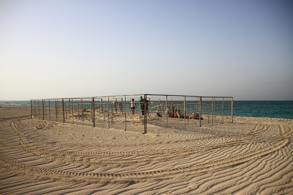Protected: A fence separates the nests from people and predators alike. Having incubated for nearly sixty days, there are subtle indications suggesting that the first nests of the season have already hatched and the turtle rangers are back to lend another helping hand. They wait until just before sunset before they start opening the first nest. 
