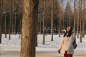 by elyrajo, Views[214]