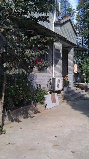 Front of the family home