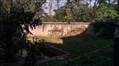Back yard at the house in Tangshan: by emacinat, Views[447]