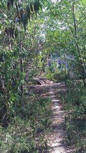 The path in the garden: by emacinat, Views[333]