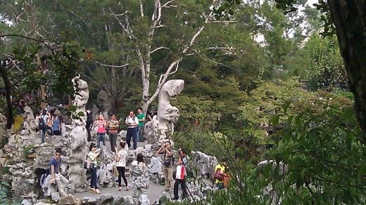 Lion Grove - Count the Lions