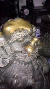 Lion Grove - Entry Lion: by emacinat, Views[322]