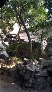 Master of Nets Garden - shoka and prana: by emacinat, Views[482]