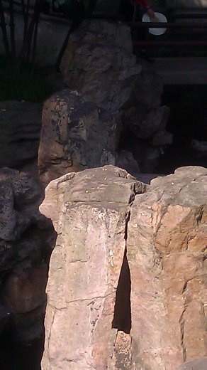 Lingering Garden - Rockery