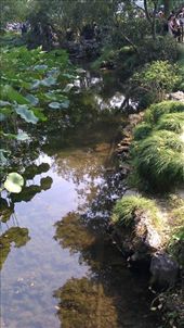 Humble Administrator's Garden - Stream: by emacinat, Views[289]