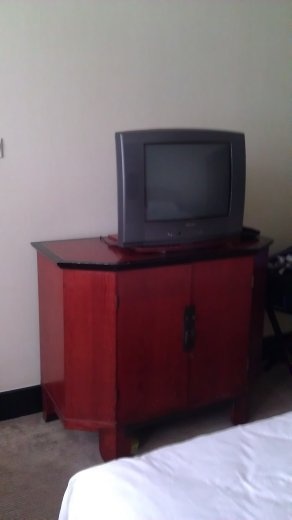 Garden Hotel - the TV