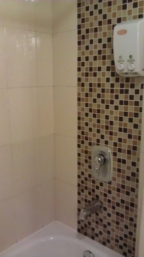 Garden Hotel - bath tub