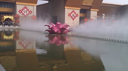 Lotus Pool