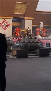 Lotus: by emacinat, Views[609]