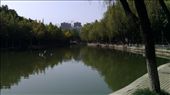 Wei River (?) in People's Park: by emacinat, Views[1459]