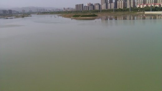 Looking upstream from the bridge over the Wei River (?)
