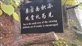 A little bit of Engrish: by emacinat, Views[338]