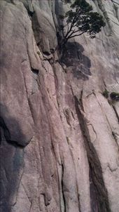 More GC: by emacinat, Views[288]