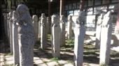 Are these hitching posts or stele?: by emacinat, Views[364]