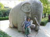 Ebeth on the Spirit Way Elephant: by emacinat, Views[372]