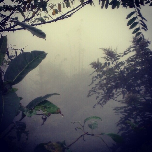 Foggy Valley at Baishan