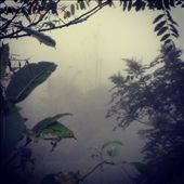 Foggy Valley at Baishan: by emacinat, Views[351]