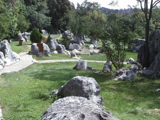 Stone Forest