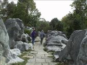 Stone Forest: by emacinat, Views[311]