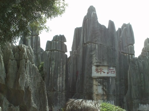 Stone Forest