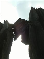Stone Forest: by emacinat, Views[401]