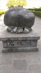 by emacinat, Views[209]