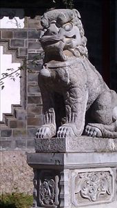 Entrance to Lion Park: by emacinat, Views[484]