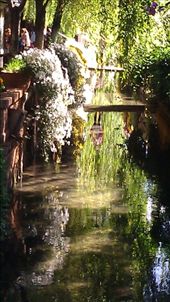 Bar Street: by emacinat, Views[606]