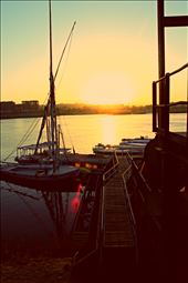 Sunrises are so underrated.. -Aswan, Egypt: by emannaguibs, Views[335]