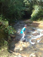 the side i am is where you will find people who now English and Hindi, where on : by emerson, Views[242]