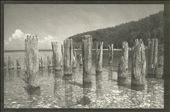 Platinum-Palladium print of remnants of a once bustling shoreline in the historic iron-smelting town of Fayette.

*Note: This image was a digital file that I converted into a digital negative to complete in the alternative processes: Platinum-Palladium printing.: by emilyplants, Views[302]