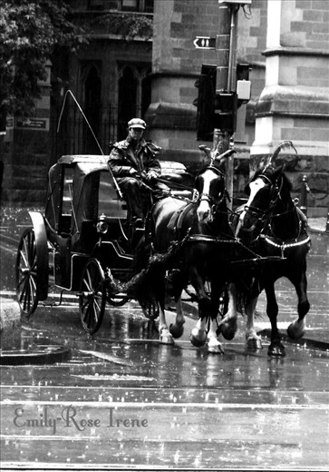 Horse drawn carriage through Melbourne's CBD.