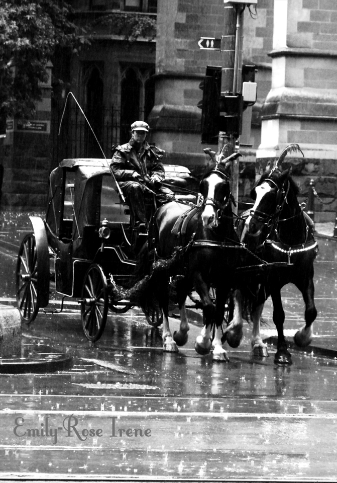 Horse drawn carriage through Melbourne's CBD.