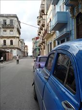Just before the rain started in hurricane season on a hot, humid afternoon.: by emma_hopkirk, Views[393]