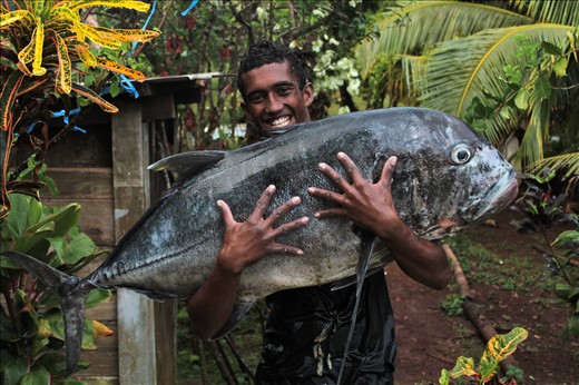 Catch of the day, a 30.5kg GT. Used to feed the entire village at Sunday lunch.