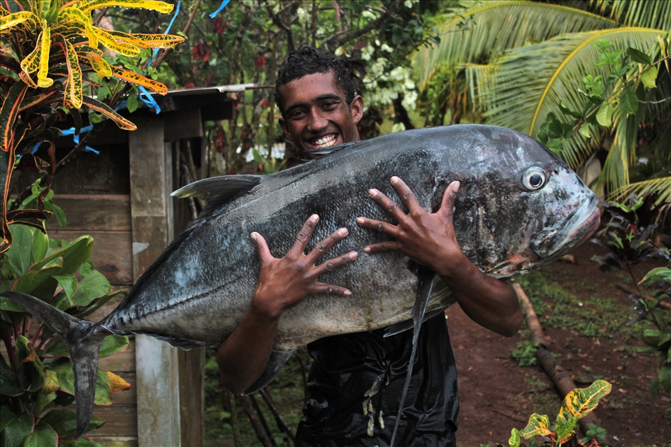 Catch of the day, a 30.5kg GT. Used to feed the entire village at Sunday lunch.