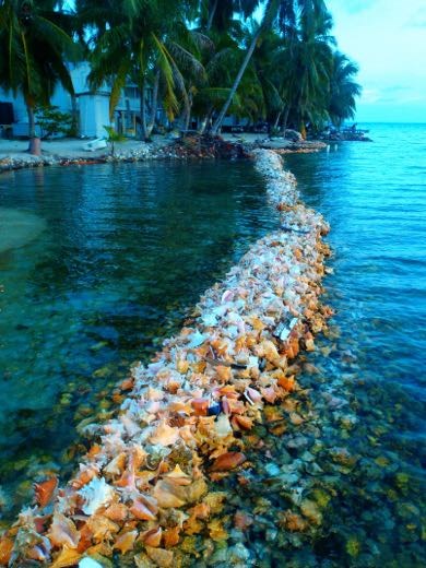 One of the Cayes we stayed on and experienced this dish.