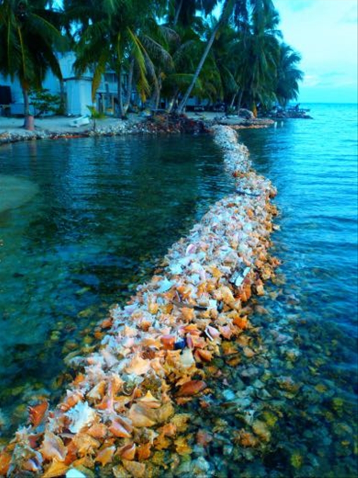 One of the Cayes we stayed on and experienced this dish.