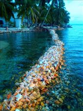 One of the Cayes we stayed on and experienced this dish.: by emmaclaire, Views[258]