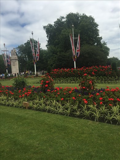 Queen Elizabeth's garden