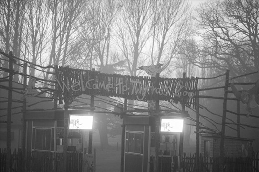 Twycross Zoo, Leicestershire, one of the world's largest primate centres.