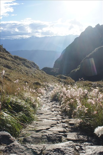 Following the awe-inspiring Inca Trail to Machu Picchu