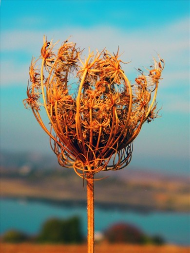 Calling everything by its right name and seeing it as it is