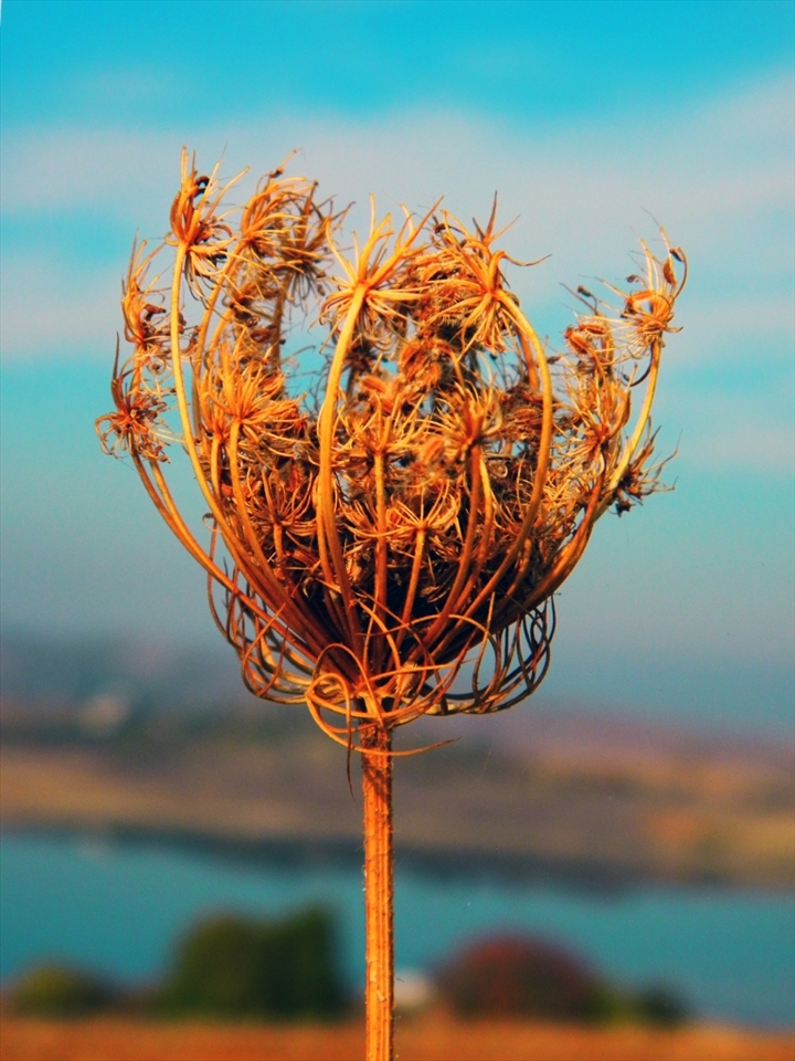 Calling everything by its right name and seeing it as it is