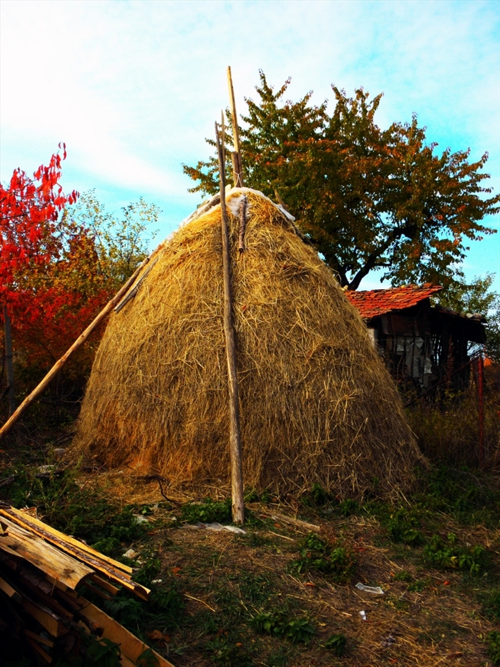 A concentration of colors