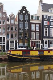 by emptynester, Views[217]